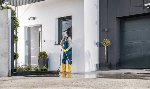 Best Driveway Pressure Washing  in Eggertsville, NY